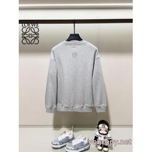 最新作期間限定セール 最旬トレンド 注目されるパーカーロエベブランド 品 スーパー コピー