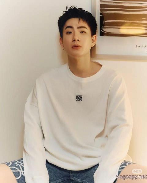 長袖Tシャツ好評品 爆買い新作登場 激レア商品コピー 品 販売LOEWE 0 