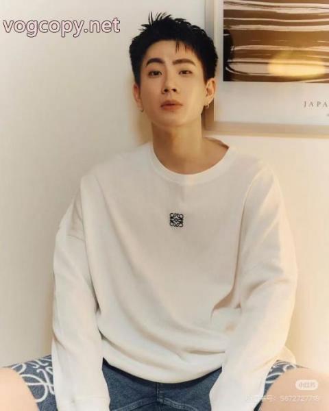 長袖Tシャツ好評品 爆買い新作登場 激レア商品コピー 品 販売LOEWE 6 