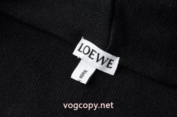 LOEWE大人気可愛い 毎年大人気!2025 ストリートファッションスーパー コピー ブランド 専門店パーカーコート 3