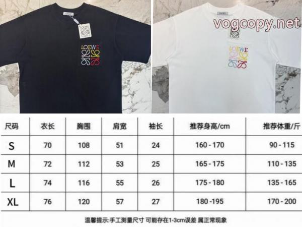 半袖Tシャツコピー 商品 販売LOEWESALE! 大人気ブランド 安心国内発送 5