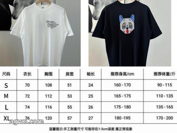 半袖Tシャツカジュアルの定番 絶妙な新商品 おしゃれアイテム偽 ブランド 通販LOEWE 5 