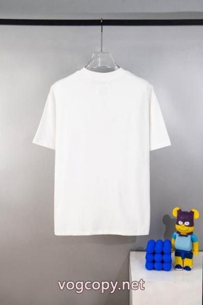 LOEWE半袖Tシャツお勧め 雑誌掲載 こだわり高級 新商品特価偽 ブランド 購入 5
