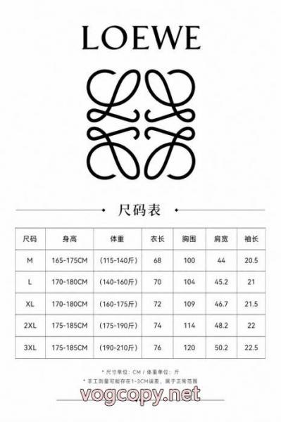 半袖poloTシャツコピー ブランド 通販日本限定モデル 完売続出 26SS洗練デザインLOEWE 6