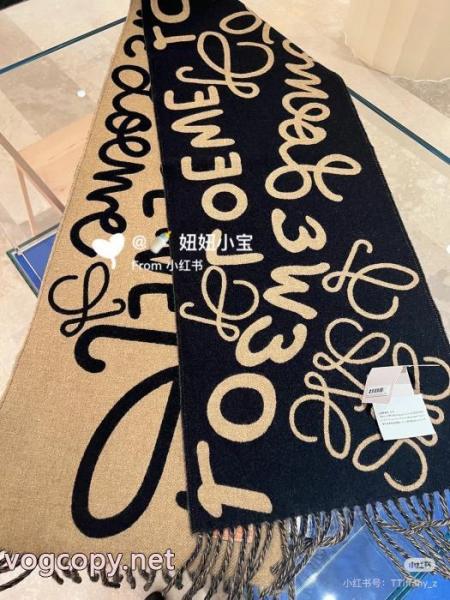 LOEWEマフラー存在感のある 人気話題 新作限定おしゃ可愛コピー 品 ブランド 4
