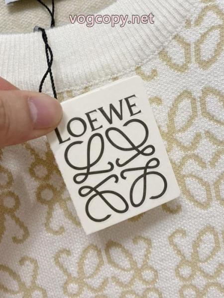 肌触りのいい 国内即発送込 ユニークなLOEWEセーターブランド コピー 激安 1